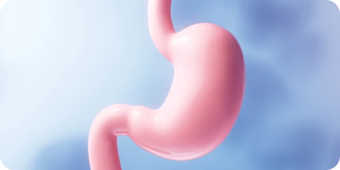 소화 불편